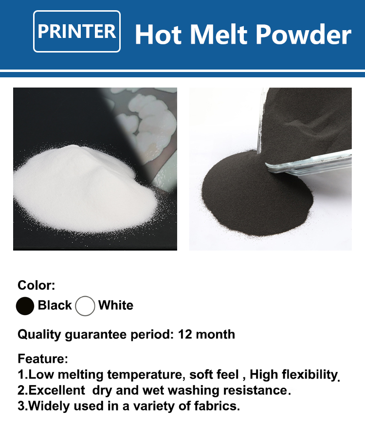 Poudre DTF fine 1 kg (1000g) p - Direct To Garment Ink avis et prix